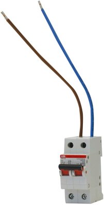 ABB HAF Hoofdschakelaar 2P 40A Bedraad