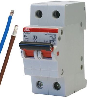 ABB HAF Hoofdschakelaar 2P 40A Bedraad